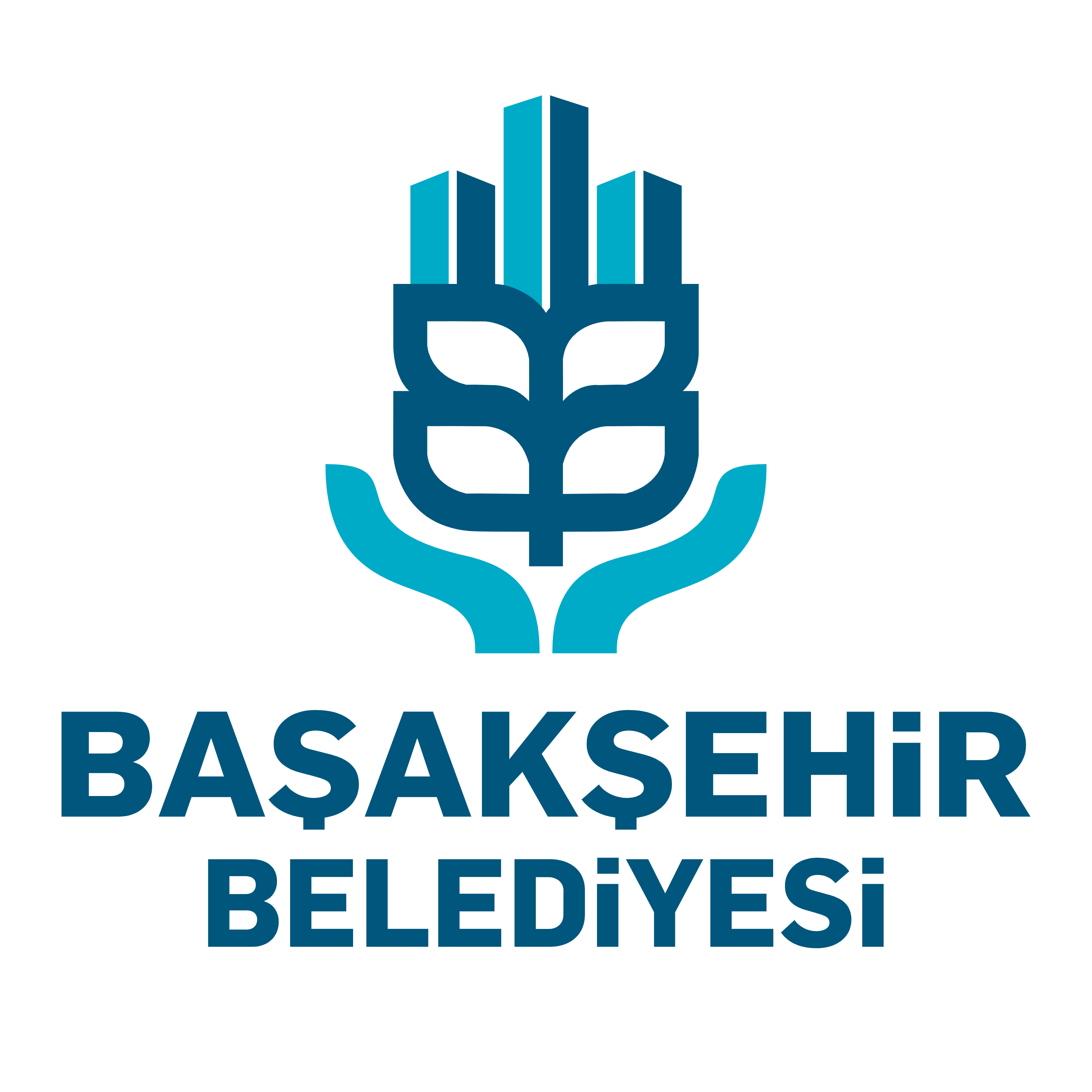 başakşehir